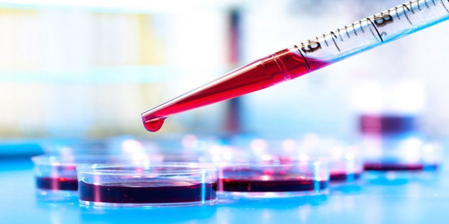 Bill Gates y Jeff Bezos se unen para combatir el cáncer